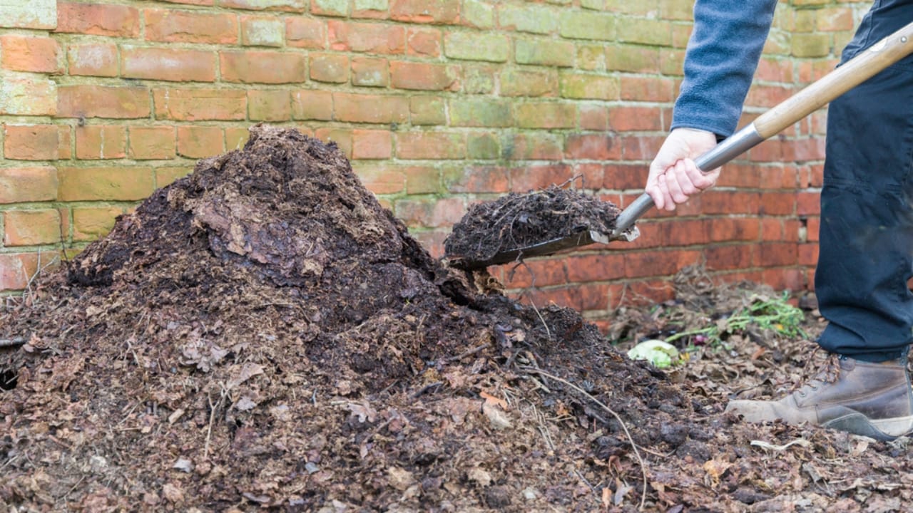 13 Simple Leaf-Recycling Ideas for a Flourishing Garden - leaf mould ss1693569223