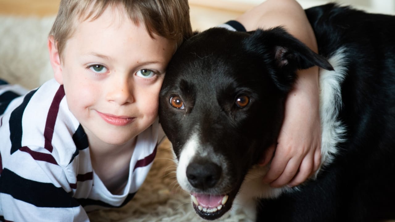 Researchers Gave LSD to Dogs & Paired Them with Humans—The Results Were Magical - little boy with autism and dog ss1222076266