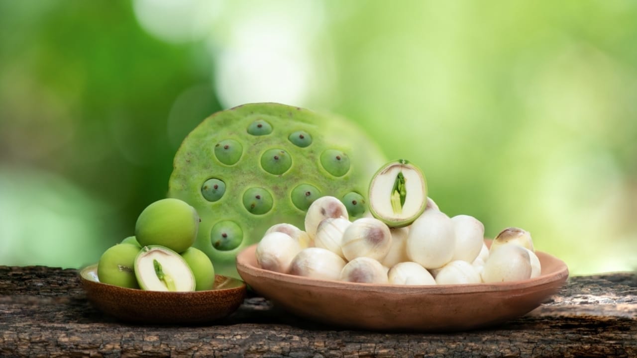 How to Cultivate the Elegant Lotus Flower & Find the Best Seeds - lotus seeds and pod ss2322248635