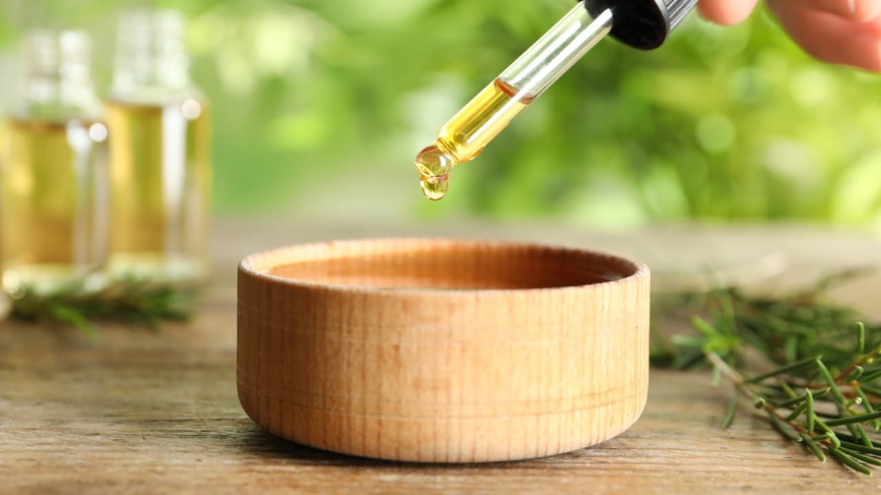 15 Everyday Smells That Dogs Wish Would Go Away - melaleuca oil or tea tree oil ss1419321053
