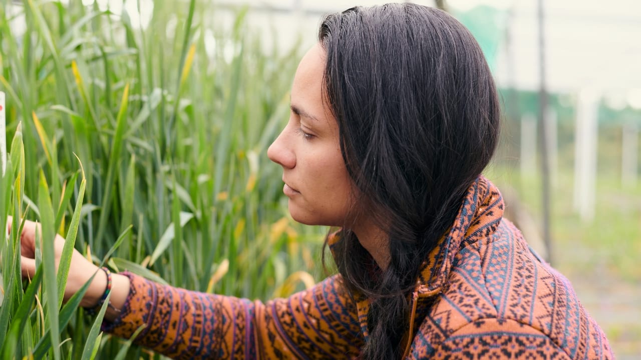 13 Plants with Deep Spiritual Meaning in Native American Cultures - native american plants ss2267037883