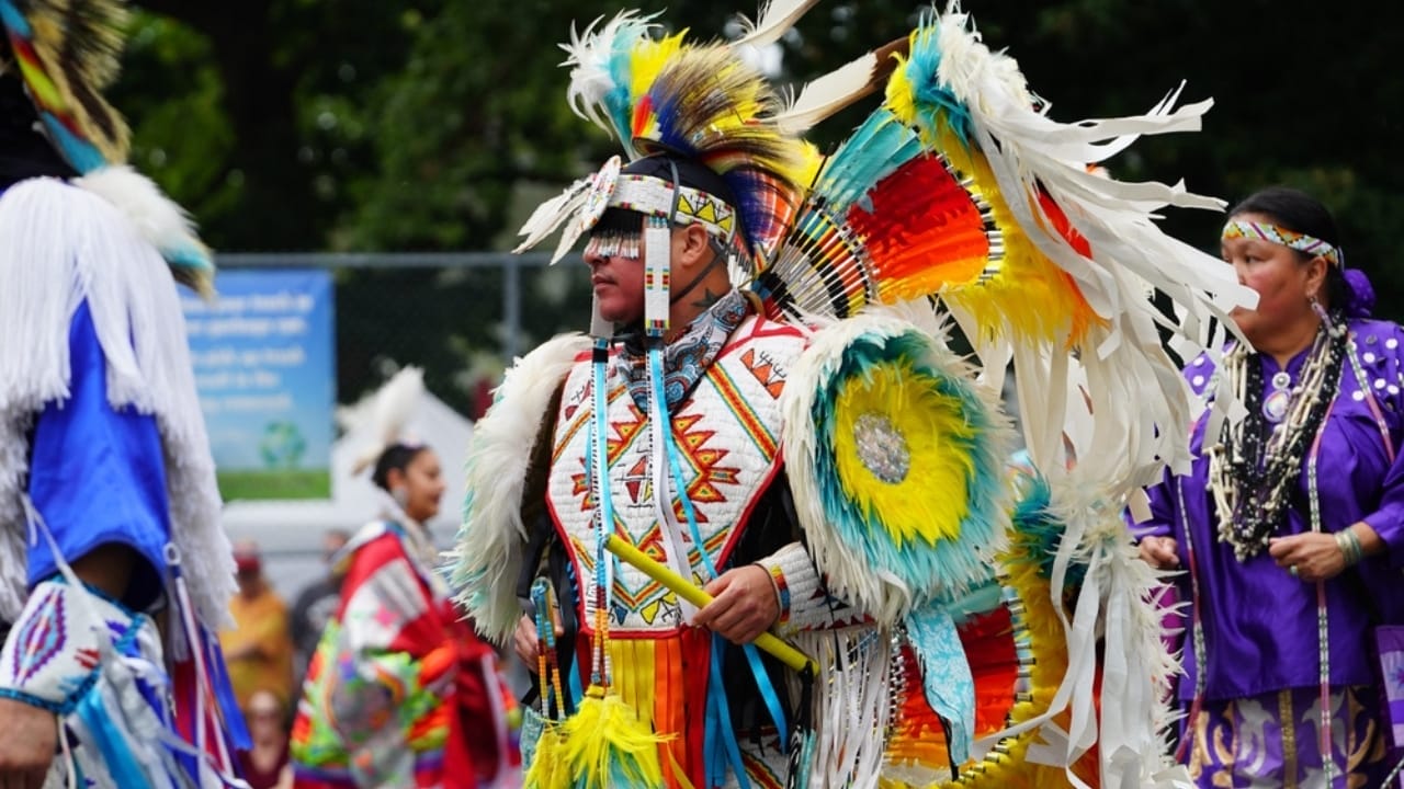 Why Eagle Feathers are Illegal—Except for One Group - native american ss2203355535