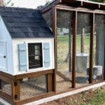 Don’t Build a Chicken Coop Without These 14 Must-Haves - Backyard chicken coop for small flock ss2201444121 degm