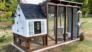 Don’t Build a Chicken Coop Without These 14 Must-Haves - Backyard chicken coop for small flock ss2201444121 degm
