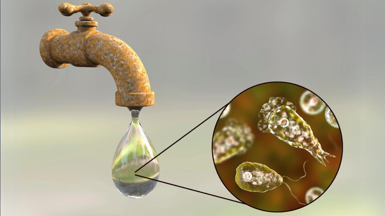 "Forever Chemicals" in Your Tap Water: The Truth & How to Protect Yourself - Brain eating amoeba Naegleria fowleri in tap water dp177951012