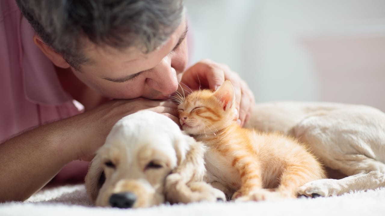 The Best Pets for Each Zodiac Sign: Your Perfect Companion - Cat and dog sleeping ss1485038399