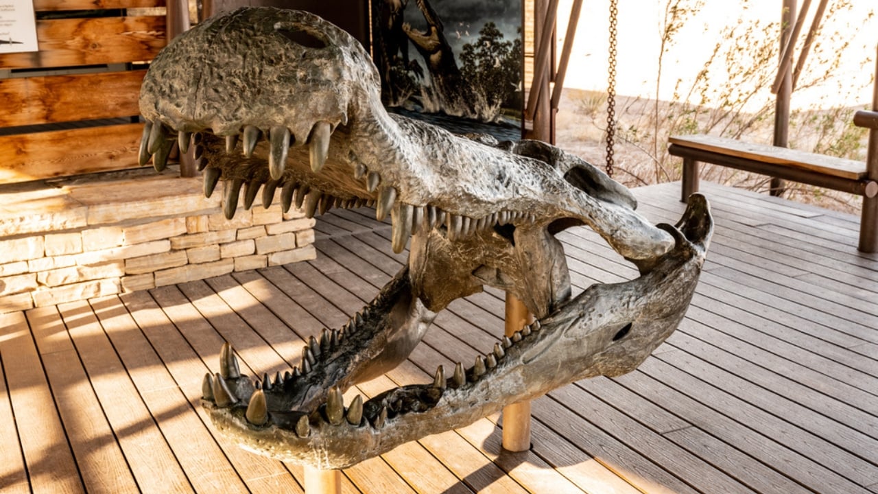 14 Ancient Beasts That Would Make T-Rex Look Tame - Deinosuchus ss2024920493