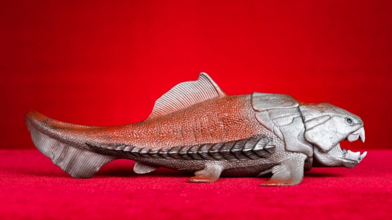 14 Ancient Beasts That Would Make T-Rex Look Tame - Dunkleosteus ss2247644707