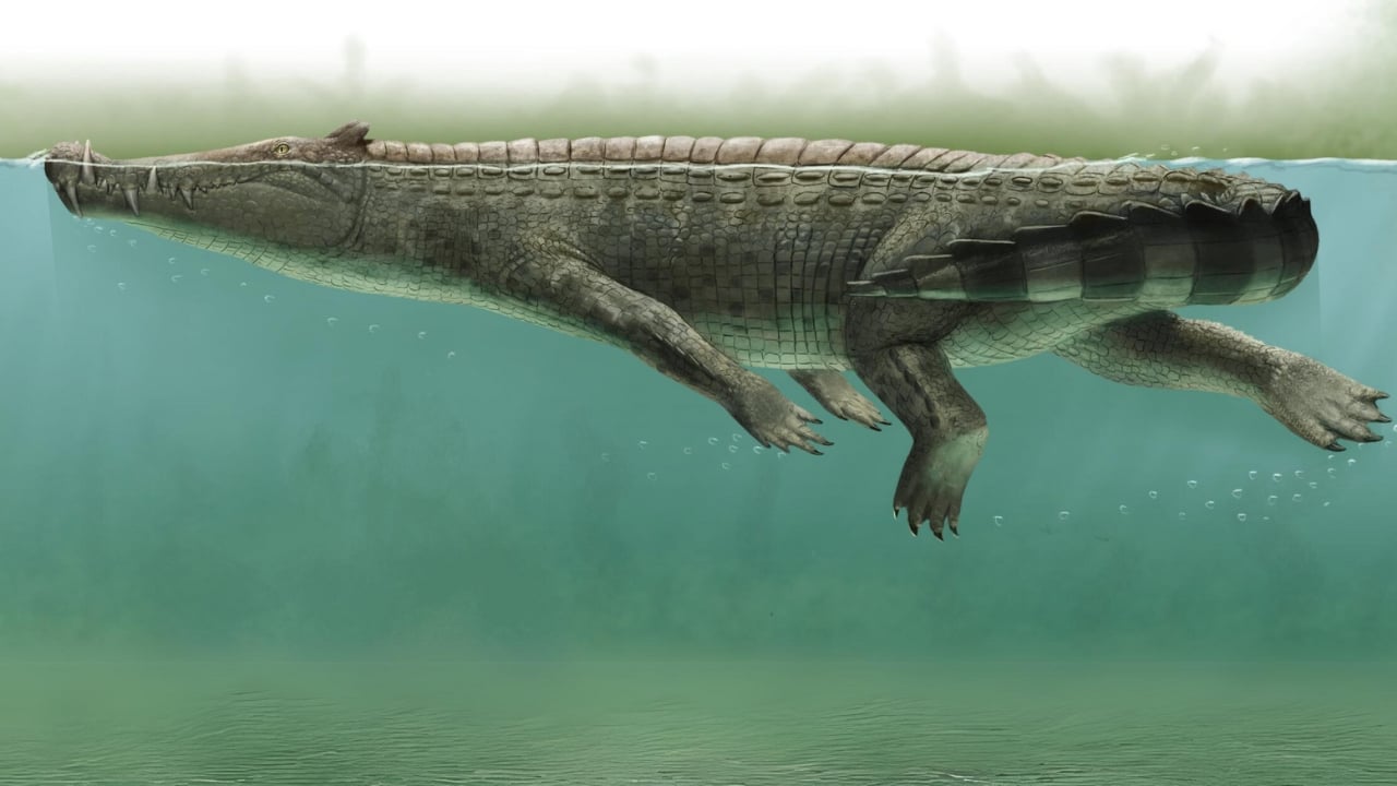 14 Ancient Beasts That Would Make T-Rex Look Tame - Kaprosuchus wc