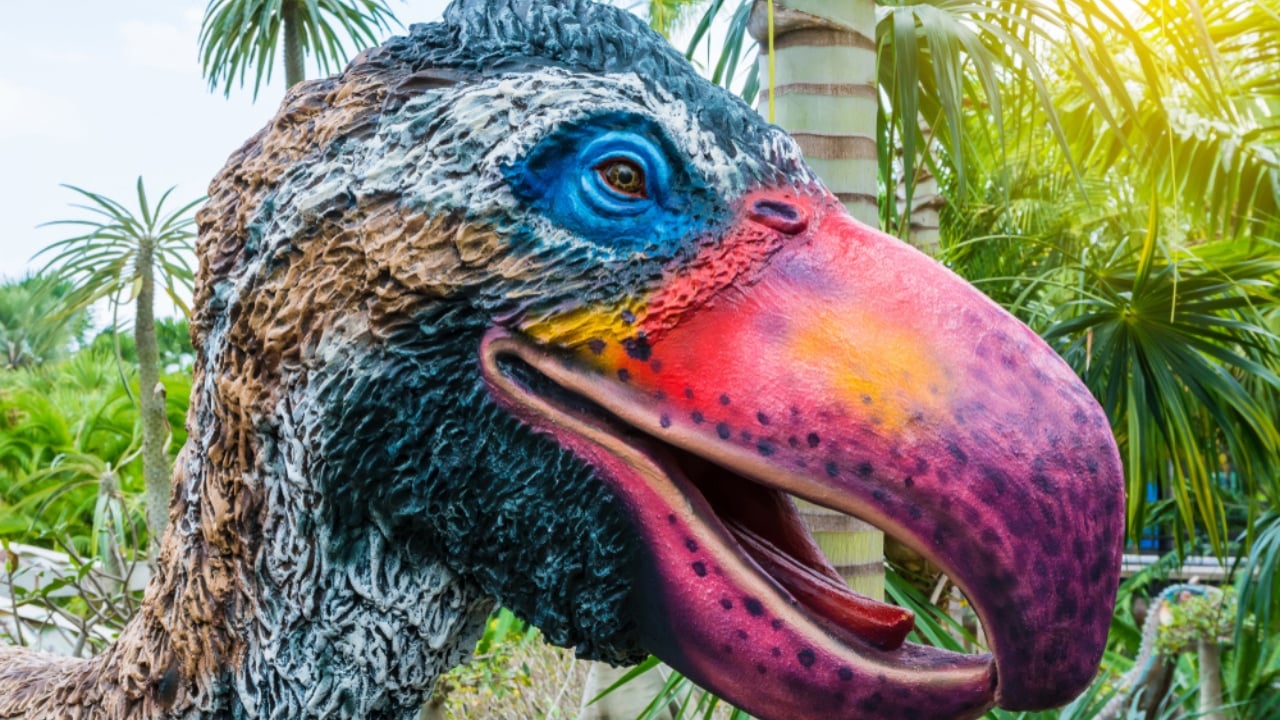 14 Ancient Beasts That Would Make T-Rex Look Tame - Phorusrhacidae ss1429220525