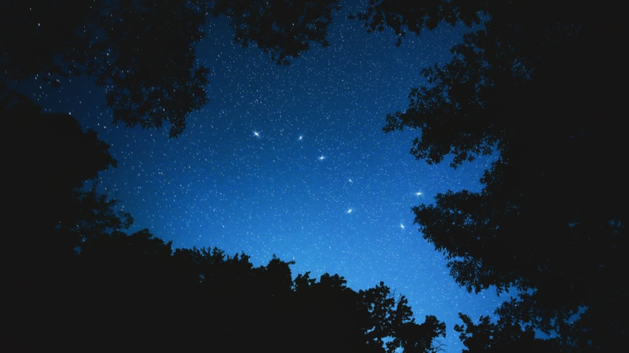 20 Skills Everyone Should Master in Uncertain Times - The Big Dipper ss1403414189