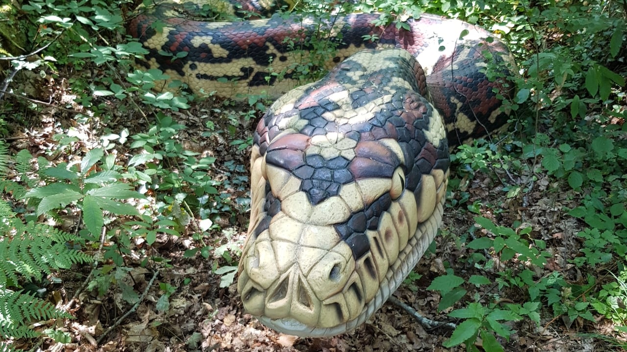 14 Ancient Beasts That Would Make T-Rex Look Tame - Titanoboa wc