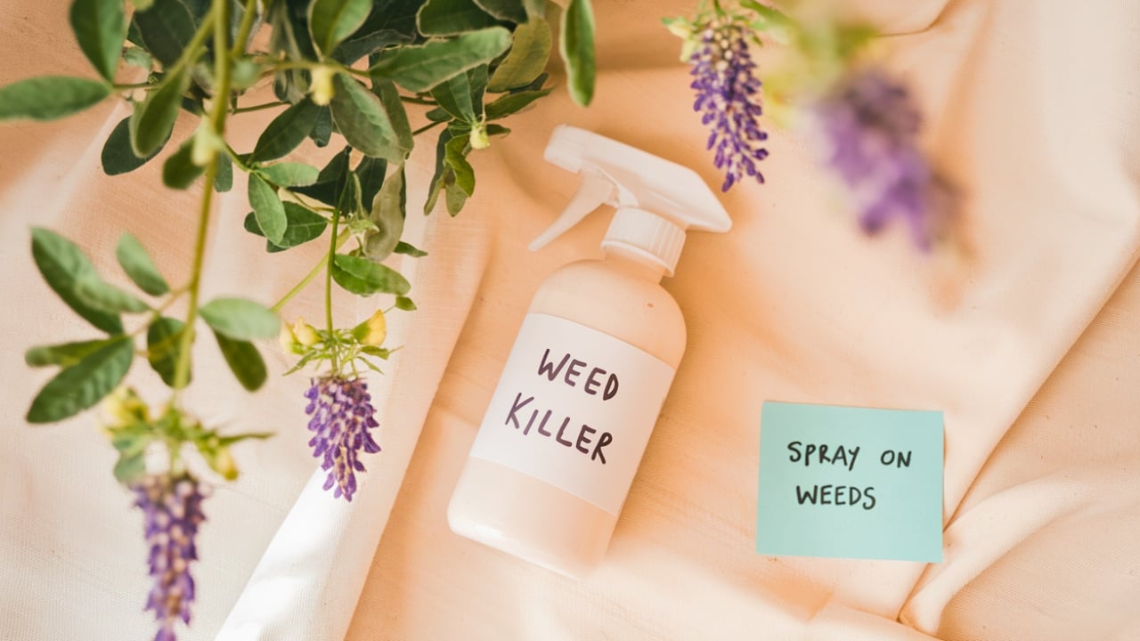 15 Things You Can Easily Make at Home Instead of Buying - WEED KILLER homemade