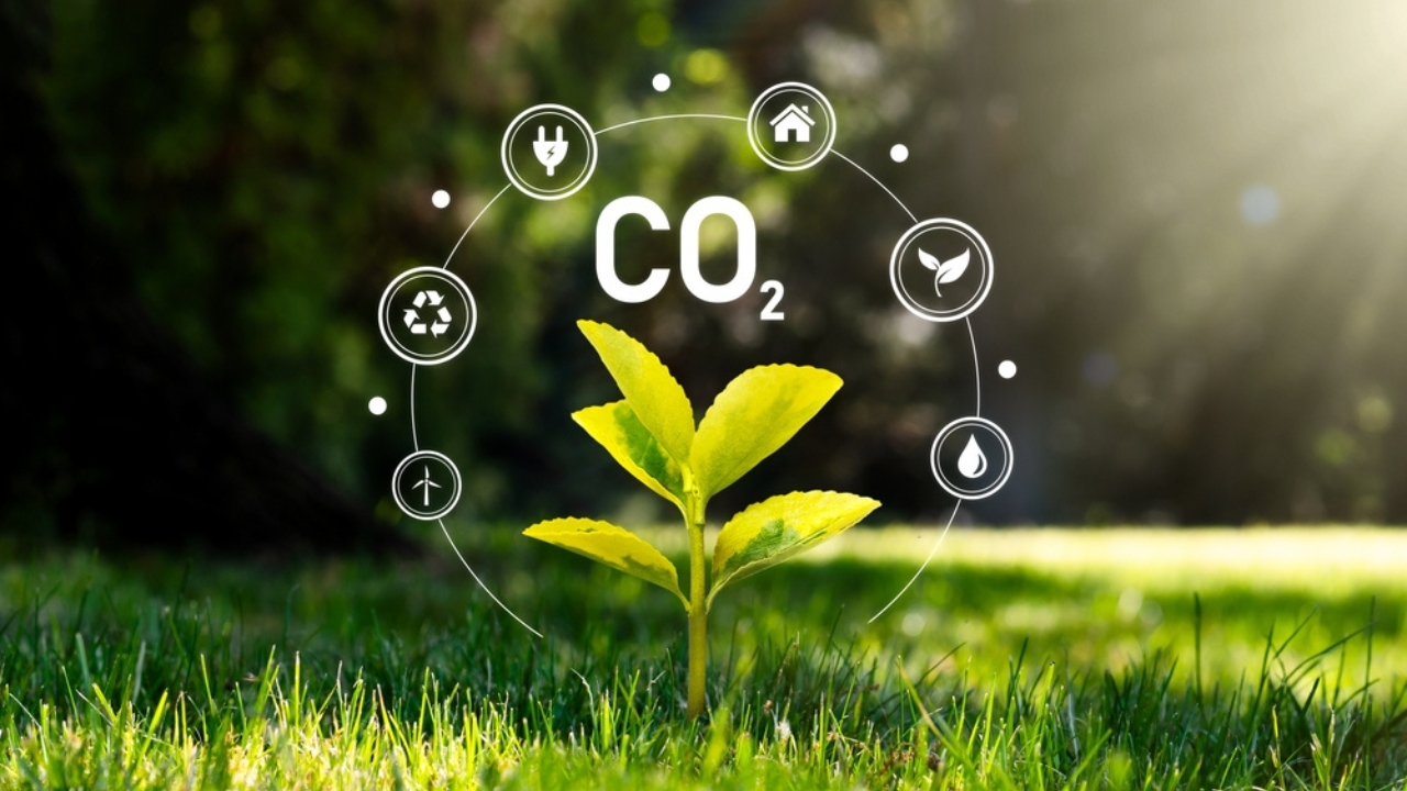 Climate Models Fall Short as Plants Absorb 31% More Carbon Than Expected -