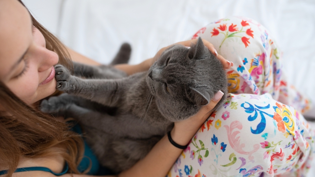 What Your Cat’s Gentle Paw Tap Really Means - cat and girl paw ss2205455177