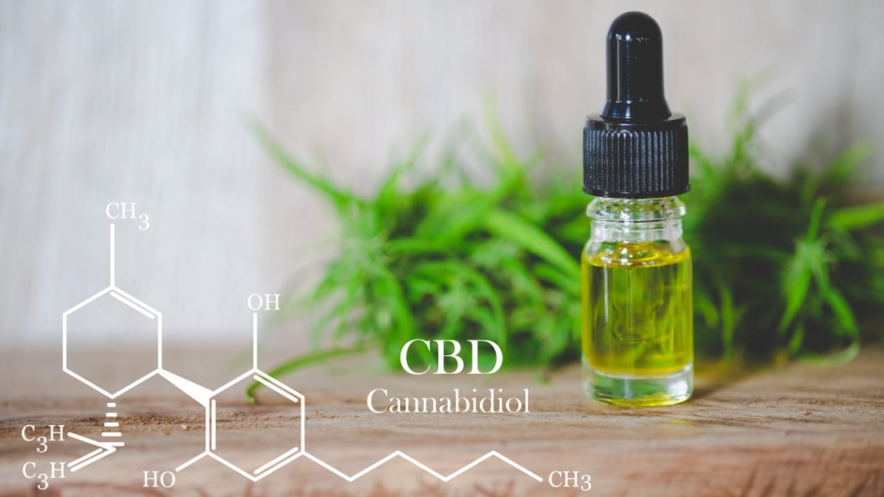 Legal CBD without Cannabis... Scientists Discover CBD in Native Plant, Opening New Possibilities - cbd oil dp315482444