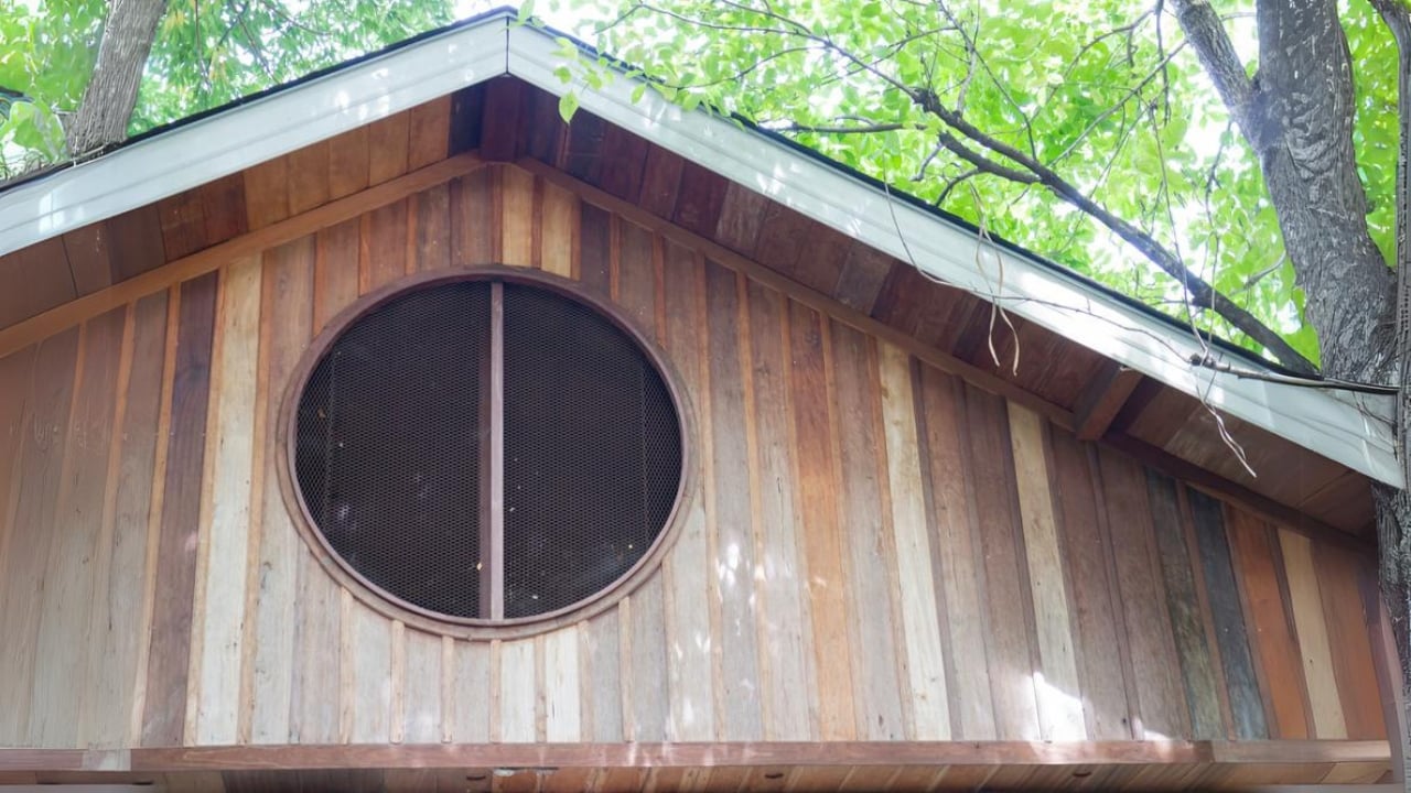 15 Must-Haves for a Safe & Happy Chicken Coop - chicken coop ventilation dp626457862