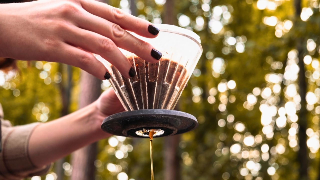 More Than Just for Coffee: 25 Life-Saving Uses for Coffee Filters - coffee filter in the forest ss2517692899