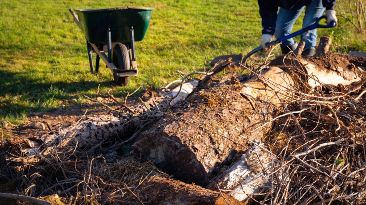 Turn Yard Waste into a Thriving Garden with Hugelkultur - man making hugelkultur ss1858749265