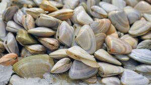 Raw Risks: 15 Foods That Pose Serious Health Hazards When Uncooked