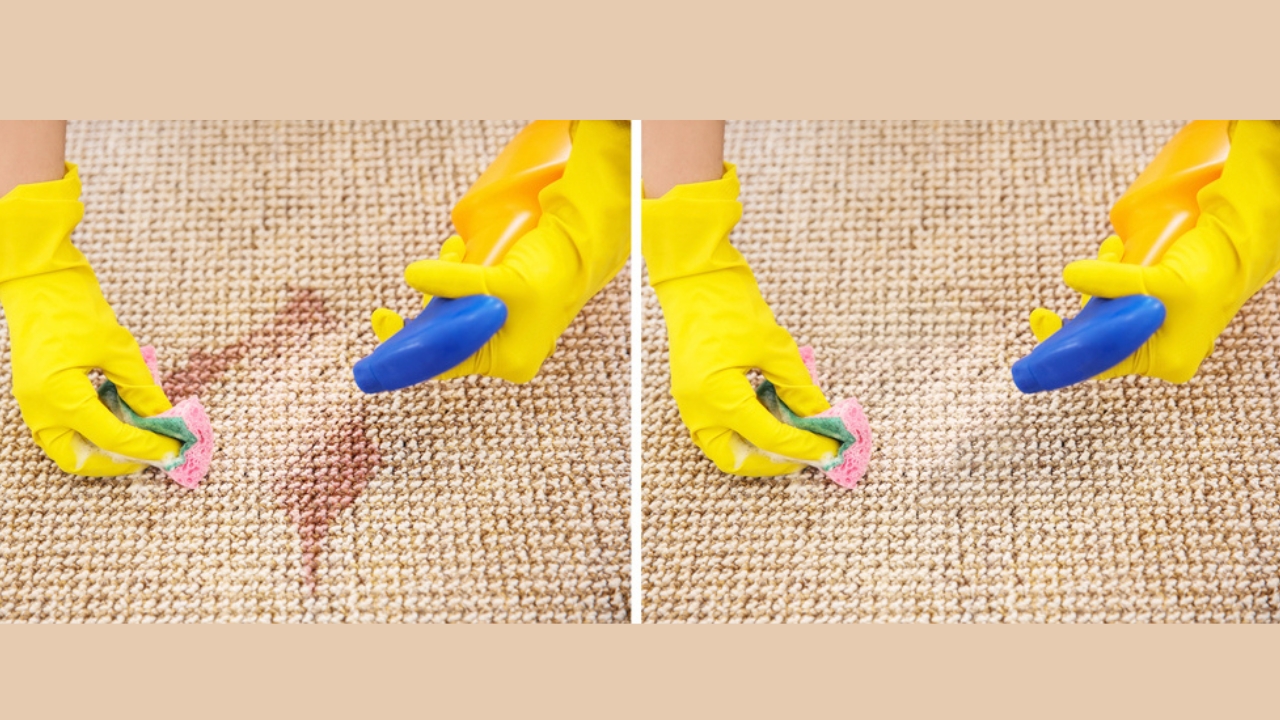 Get Fresh, Clean Carpets with This Simple DIY Carpet Cleaner Recipe - woman removing stain dp251360120