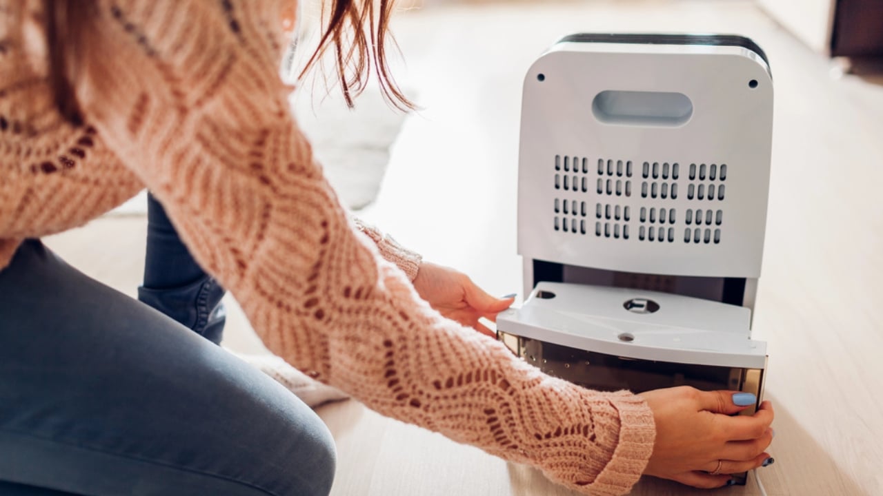 8 Spots to Avoid for Dehumidifiers (and Where to Place Them Instead) - woman with dehumidifier dp230210424