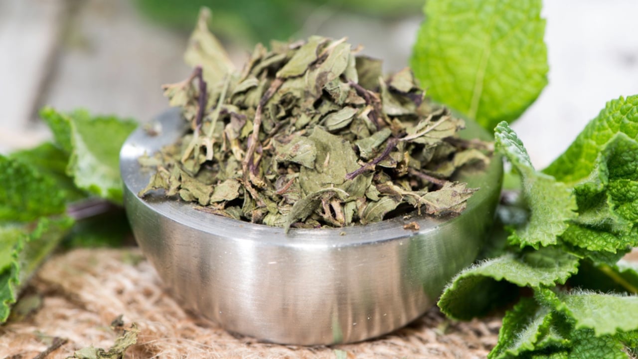 11 Herbs to Dry Now for Freshness That Lasts All Year - Bowl with dried Mint dp42845197 dnoh