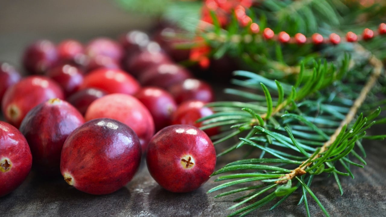 Handmade Cranberry Garlands: A Timeless Decoration for the Holiday Season - Cranberry and pine tree ss512877217 degm
