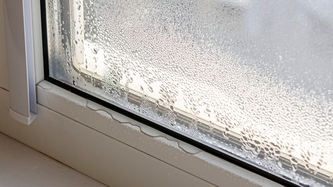 20 Skills Everyone Should Master in Uncertain Times - Drops of Condensation ss1898441434
