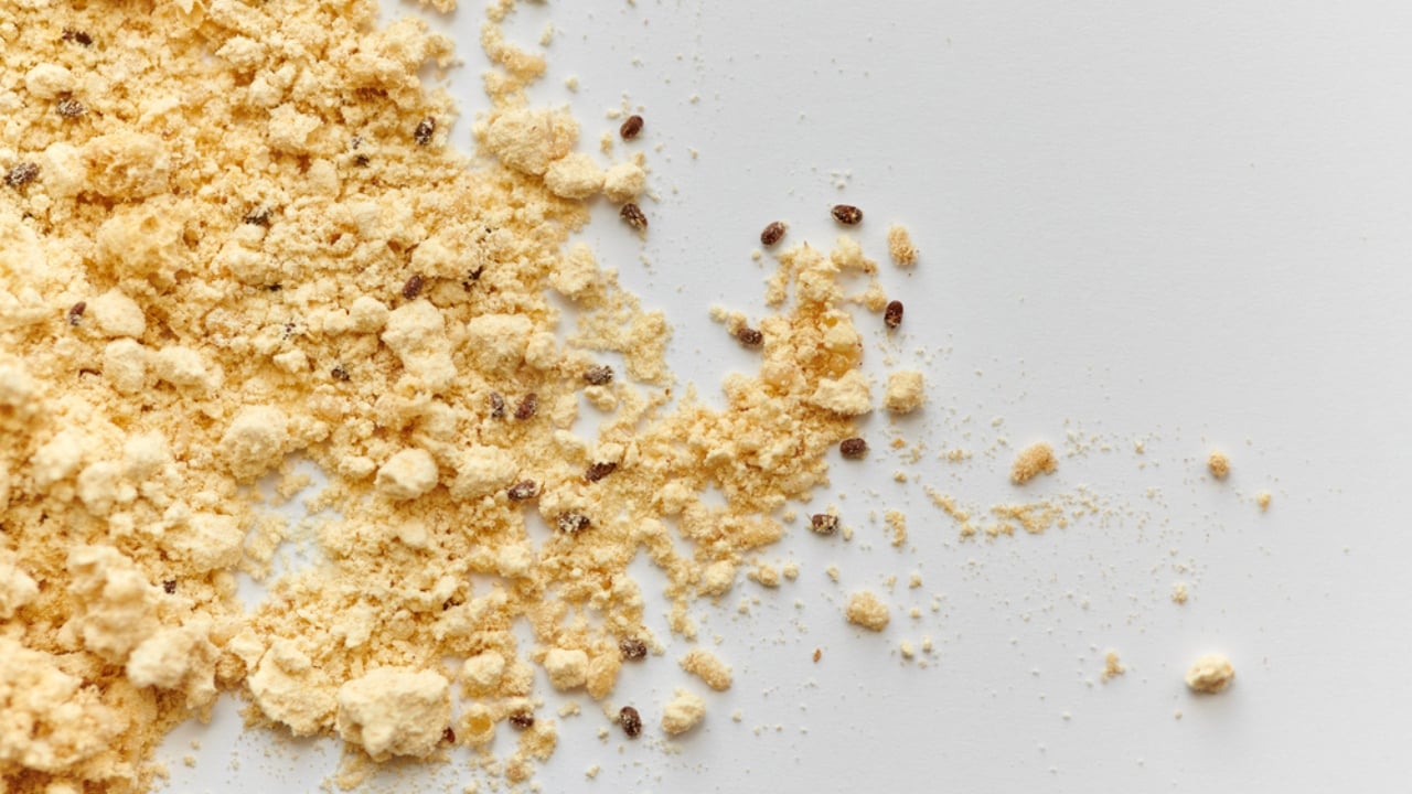 Flour Gone Bad? 5 Warning Signs to Watch For - Flour beetles in baking flour dp339682734 dnoh