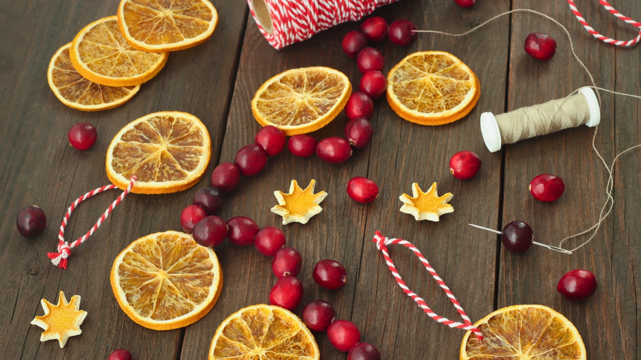 Handmade Cranberry Garlands: A Timeless Decoration for the Holiday Season 2 Handmade Cranberry Garlands: A Timeless Decoration for the Holiday Season - garland dried orange slices cranberries ss1849772080 degm