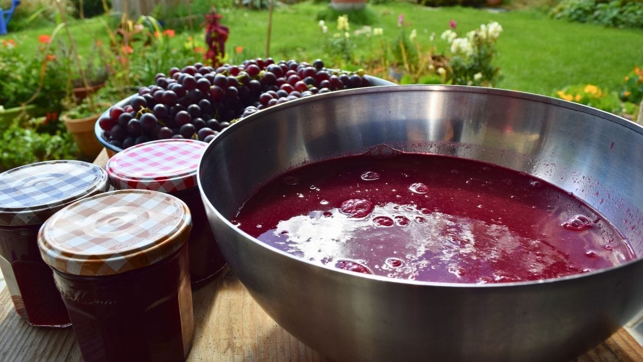 Homemade Old-Fashioned Grape Jam: A Nostalgic Treat Worth Making Again - homemade grape jam ss1834685395 dnoh