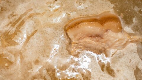 No Fridge Needed: 10 Amish Meat Preservation Secrets