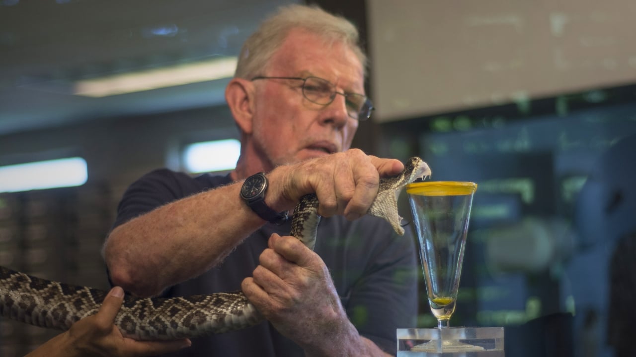 10 Animals with Healing Powers That Could Transform Medicine - milking an Eastern Diamondback Rattlesnake ss683946652 degm