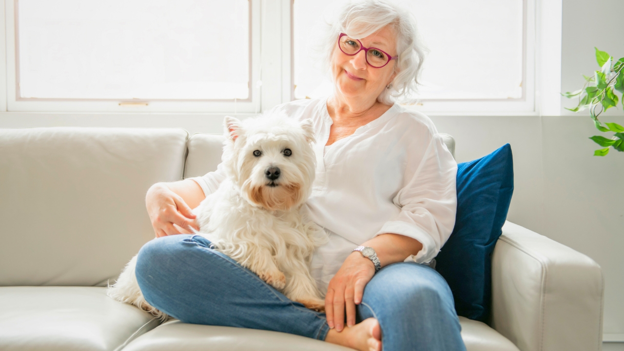 15 Dog Breeds Perfect for Seniors Seeking Loyal Companions - woman white dog ss1345460732 degm