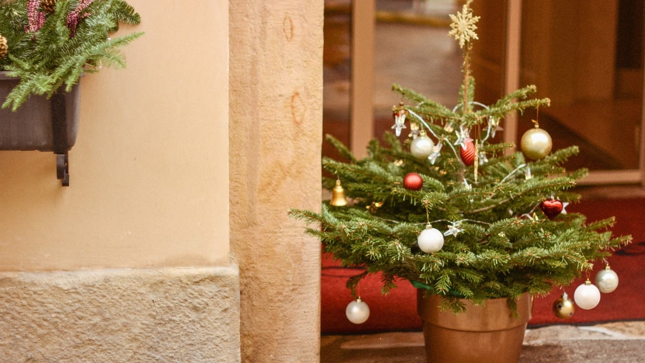 Don’t Toss Those Ornaments: 6 Ways to Upcycle Holiday Treasures - Ornament tree christmas ss2501347231 degm