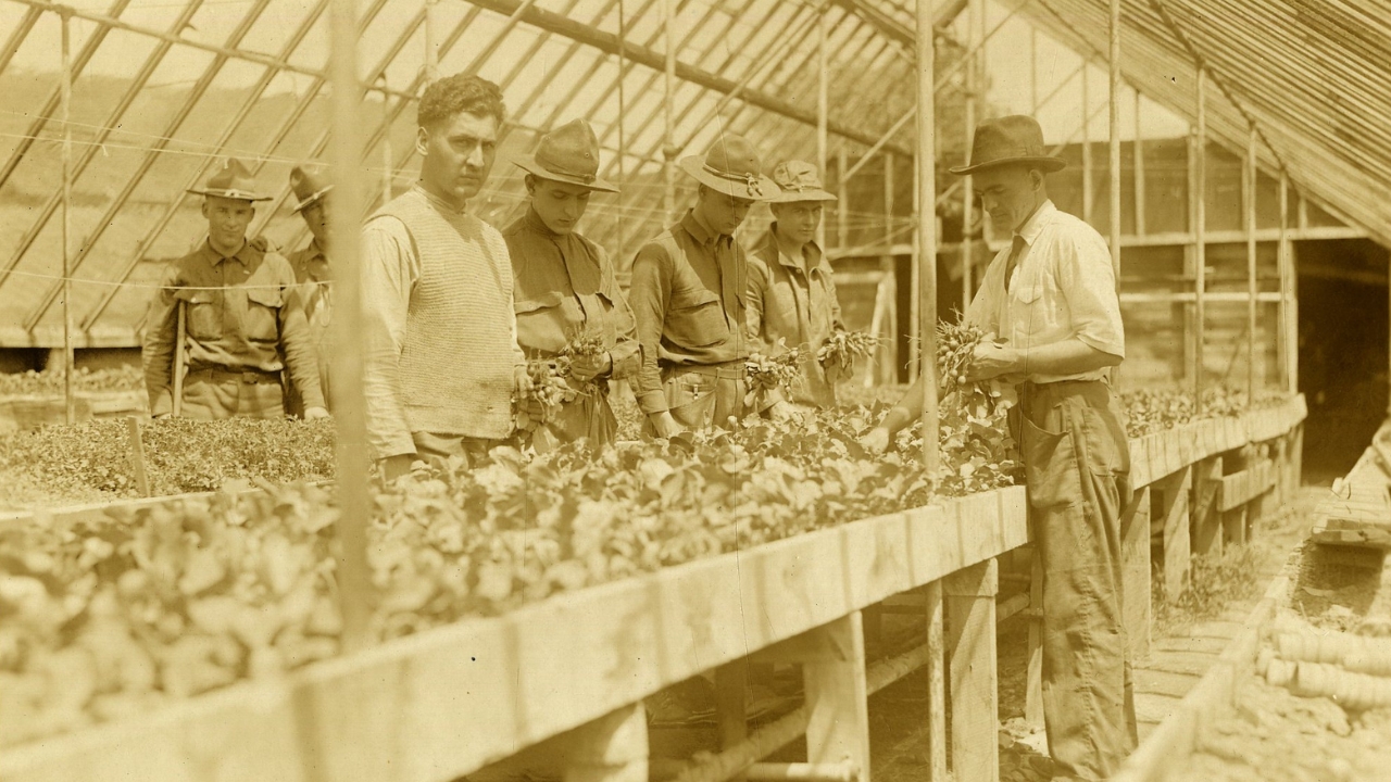 The Civil War Transformed American Farming Forever - Recovering soldiers gardening in National Museum of Health and Medicine wc