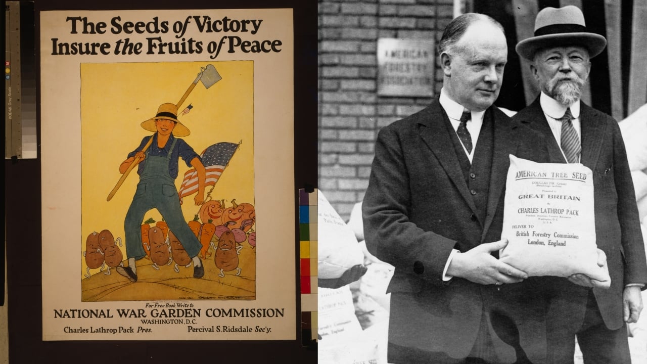8 Leaders Who Turned Gardens Into Lifelines During War - The seeds of victory insure the fruits of peace wc American seeds to reforest France and Great Britain wc