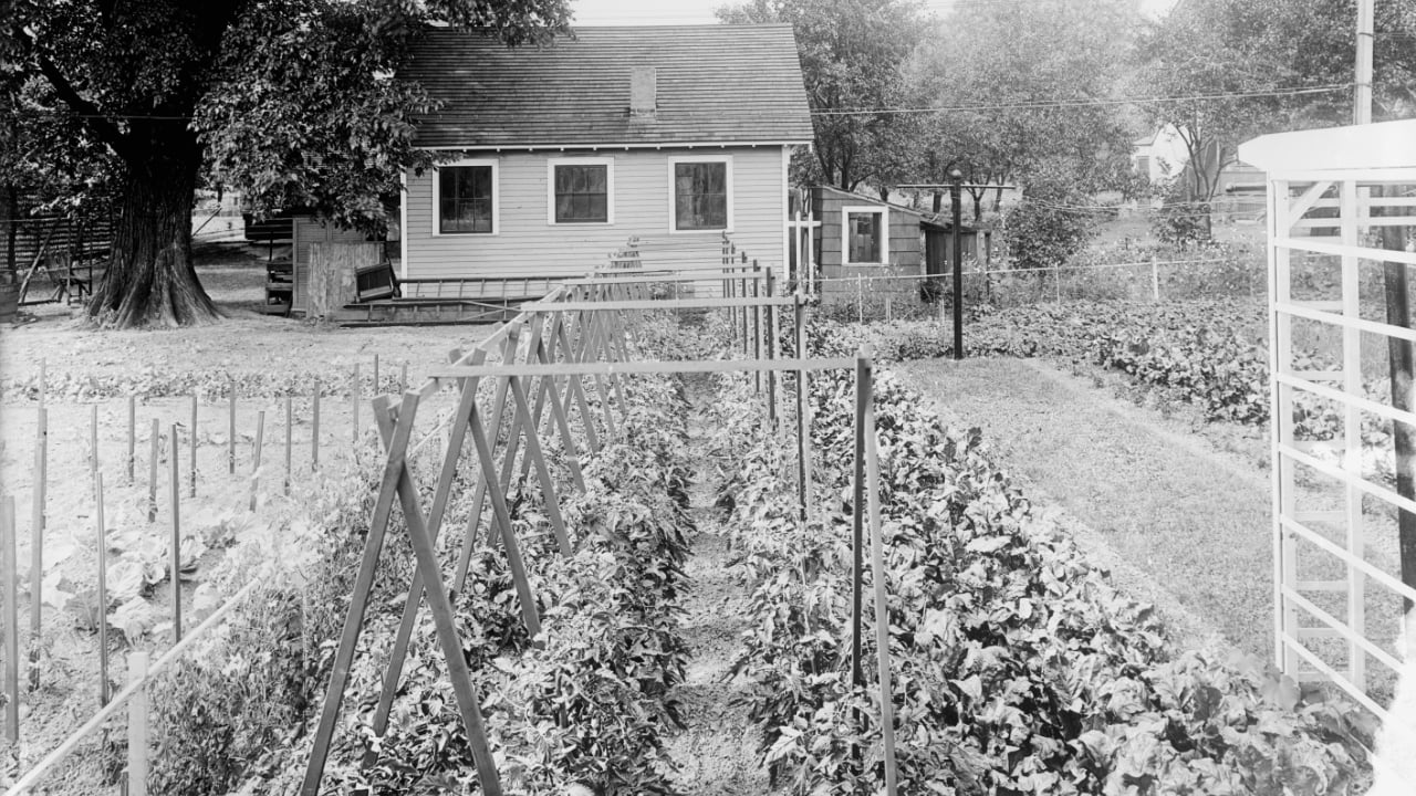 8 Leaders Who Turned Gardens Into Lifelines During War - War Garden Commission wc