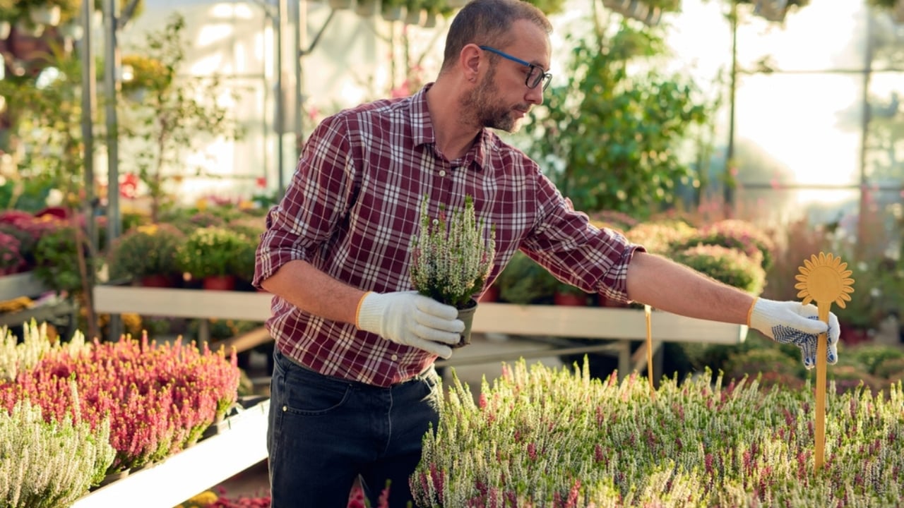How to Profit From the $16.5B Houseplant Boom Right Now - Wholesale Plant ss2452452261 dnoh 1