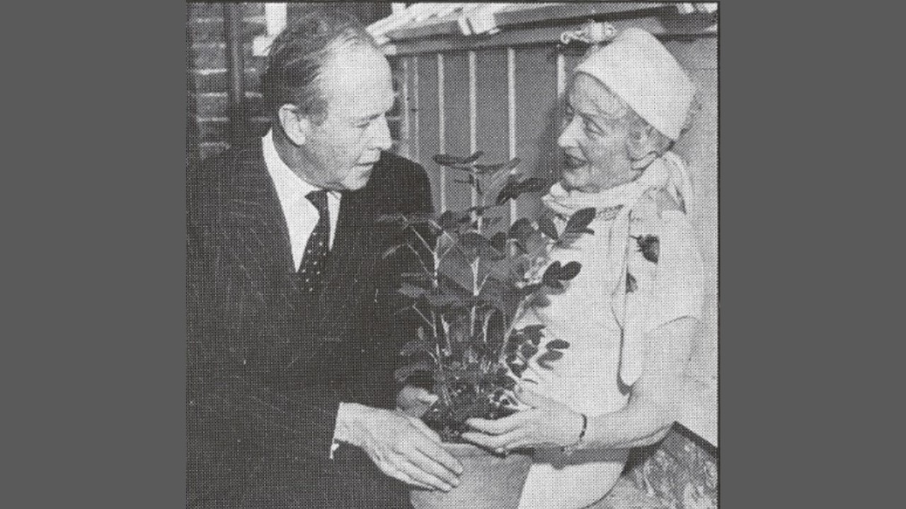 Atomic Gardening: A Cold War Experiment That Changed Crops Forever - atomic gardening wiki