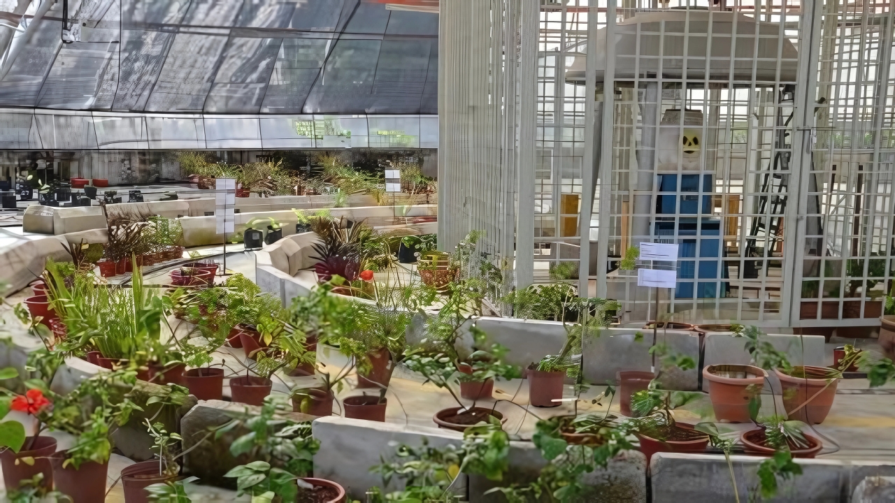Atomic Gardening: A Cold War Experiment That Changed Crops Forever - atomic gardening 2
