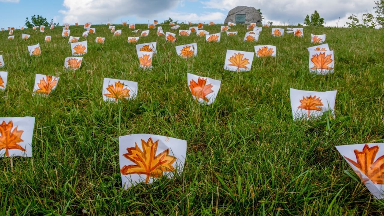 The Trees That Remember: Memorials to World War Heroes - canadian maple memorial ss2485440899 dpdgm