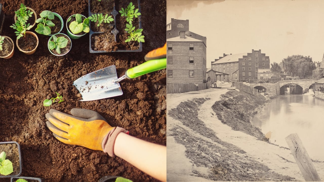 The Secret Weapon of the Civil War: Shovels and Seeds - gardening planting sprouts dp635496376 dnoh Civil War View wc