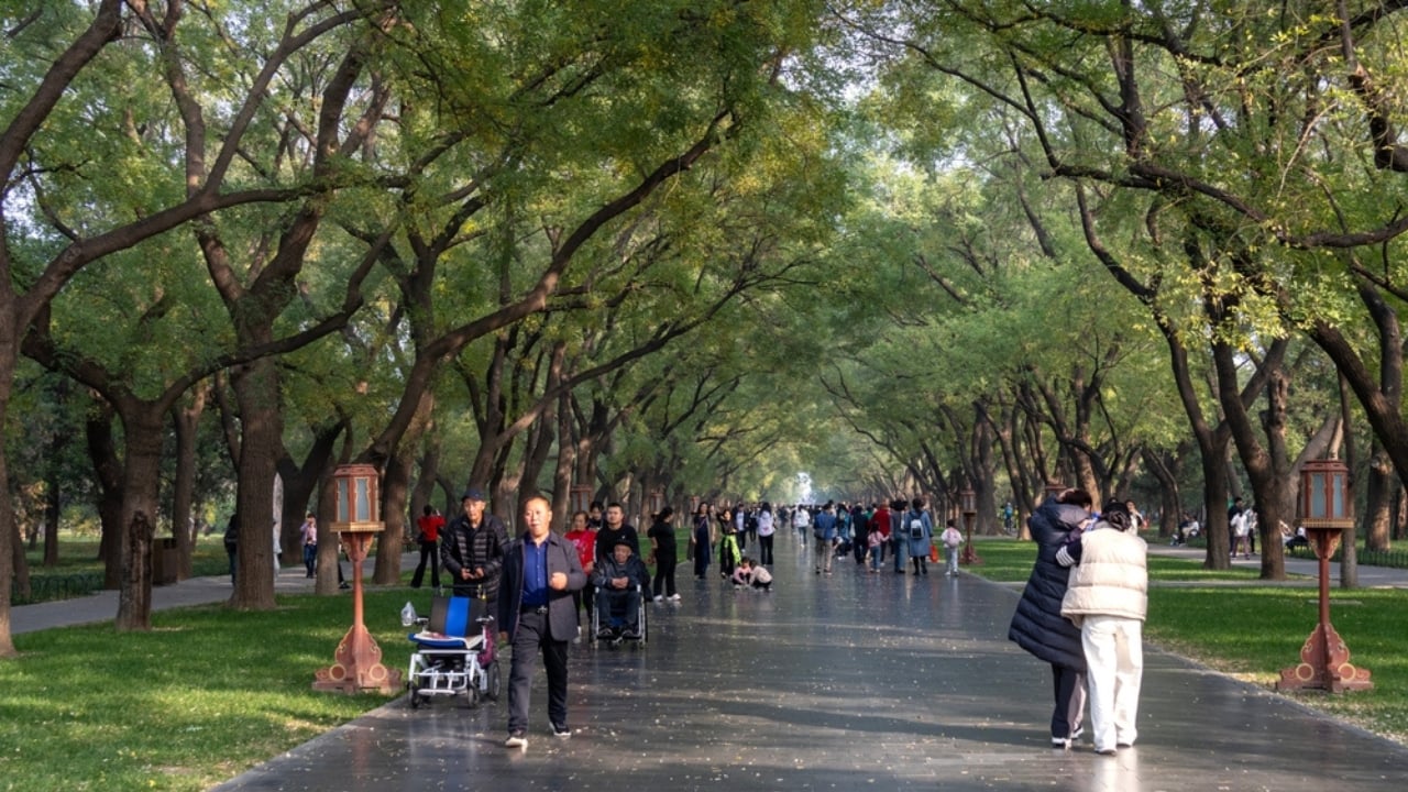 The Trees That Remember: Memorials to World War Heroes - heritage site ss2554336445 dpdgm