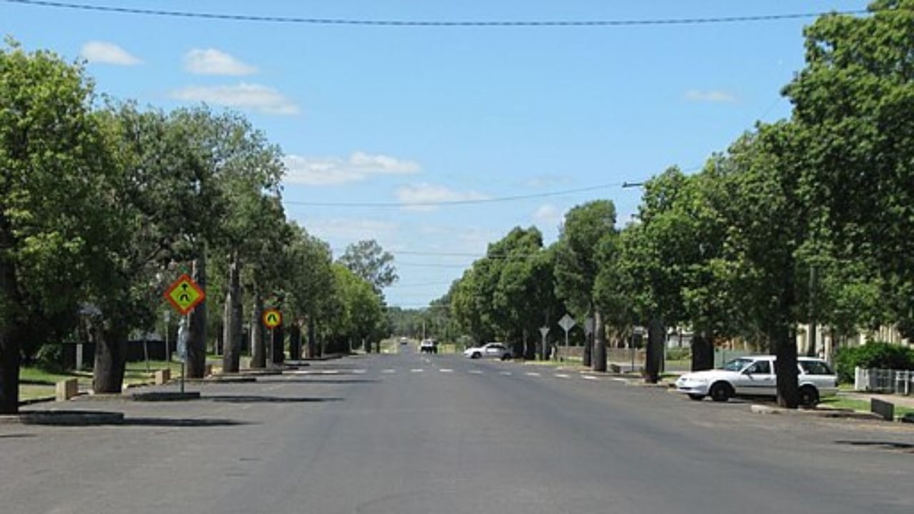 The Trees That Remember: Memorials to World War Heroes - roma heroes avenue wc