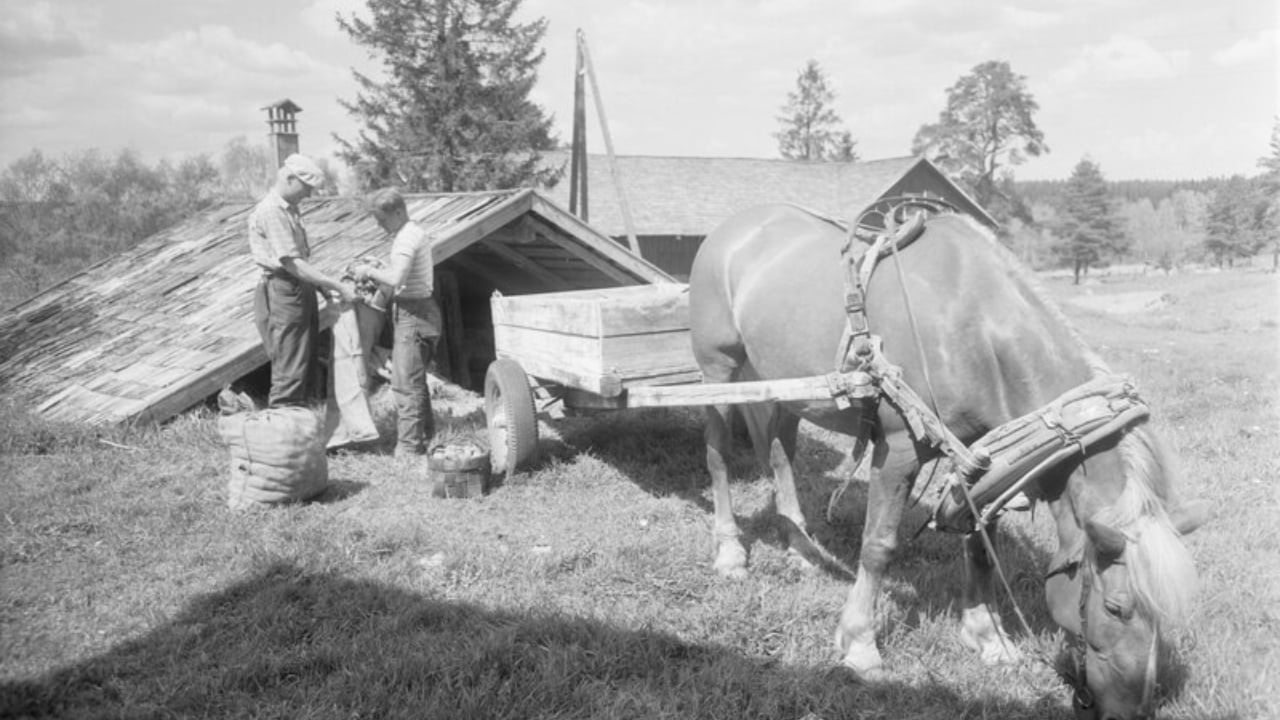 Root Cellars Resurge: How They’re Saving Money and Food - root cellar ancient wc