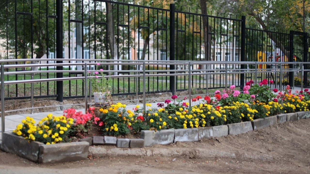 Gardening Helped WWII POWs Survive Captivity and Chaos - school ground garden ss2512661227 dpdgm