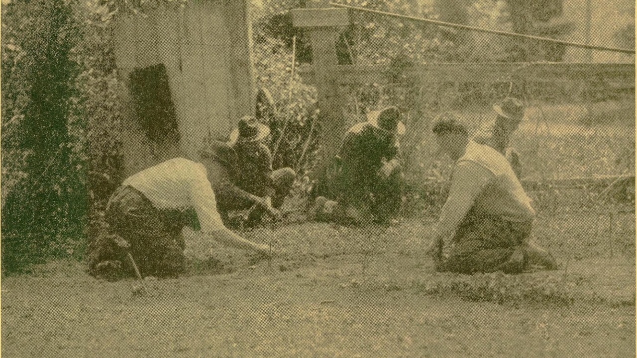 10 Victory Garden Lessons That Still Grow Resilience Today - soldiers planting wc