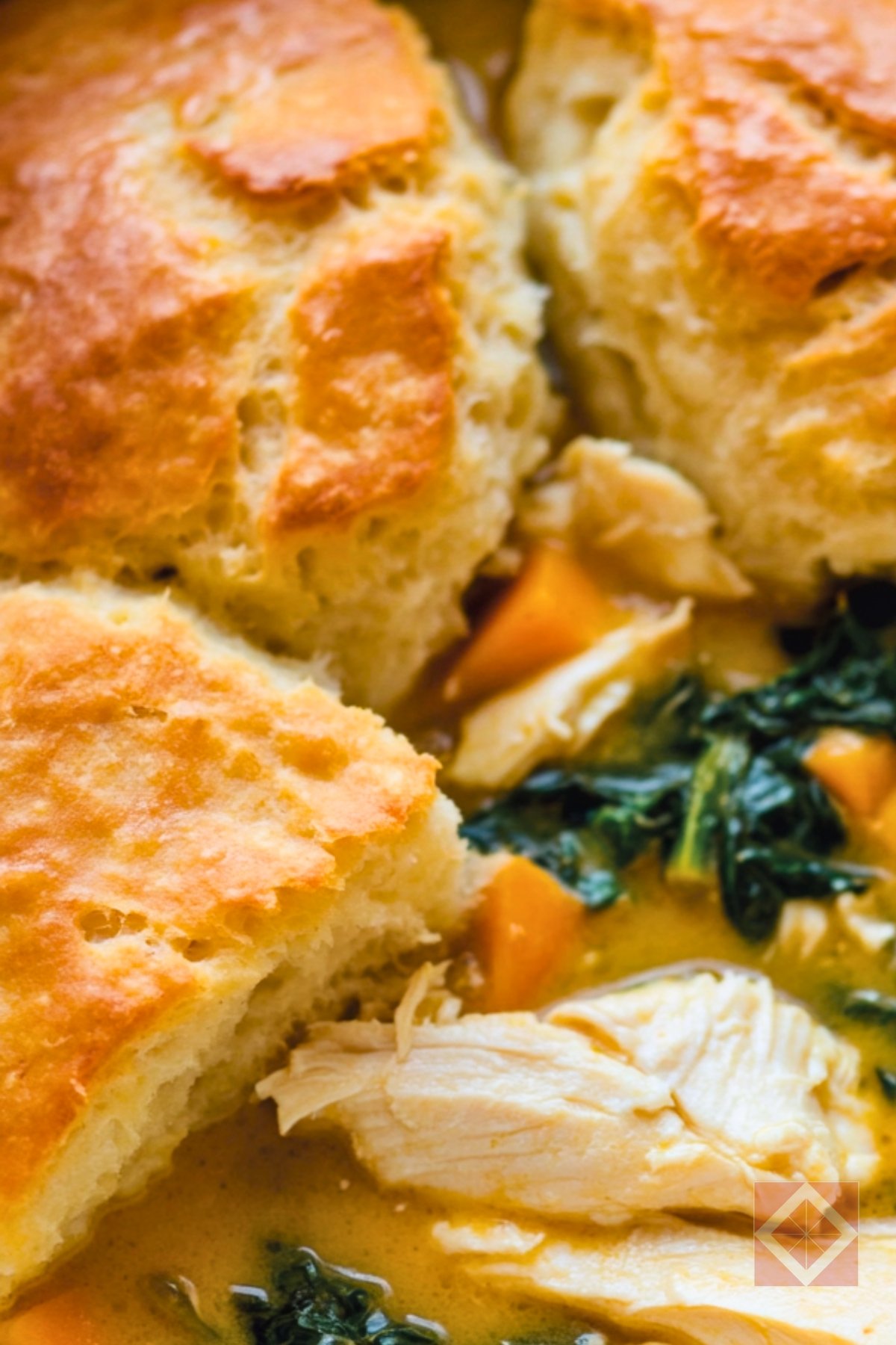 14 Best One-Pot Stews & Chilis to Master in Your Dutch Oven - Chicken Stew with Cheddar Biscuits pin 1 midia